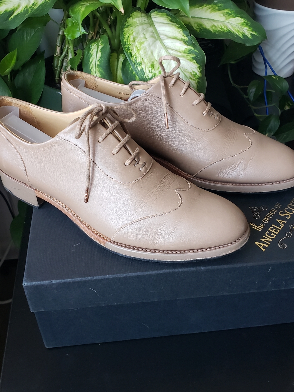 The Office of Angela Scott Women's Leather Oxford Shoes